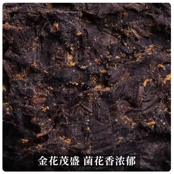 茶頌