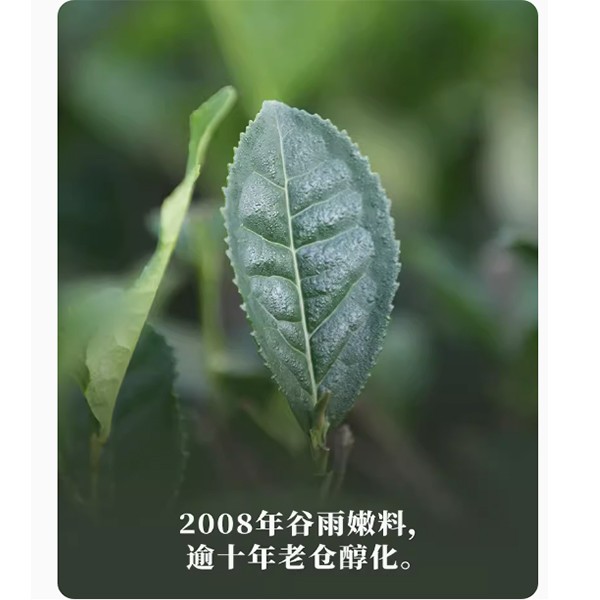 大師印花磚