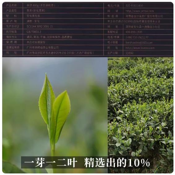 茶頌