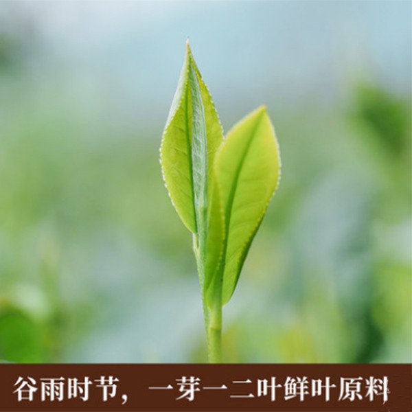5301小罐茶