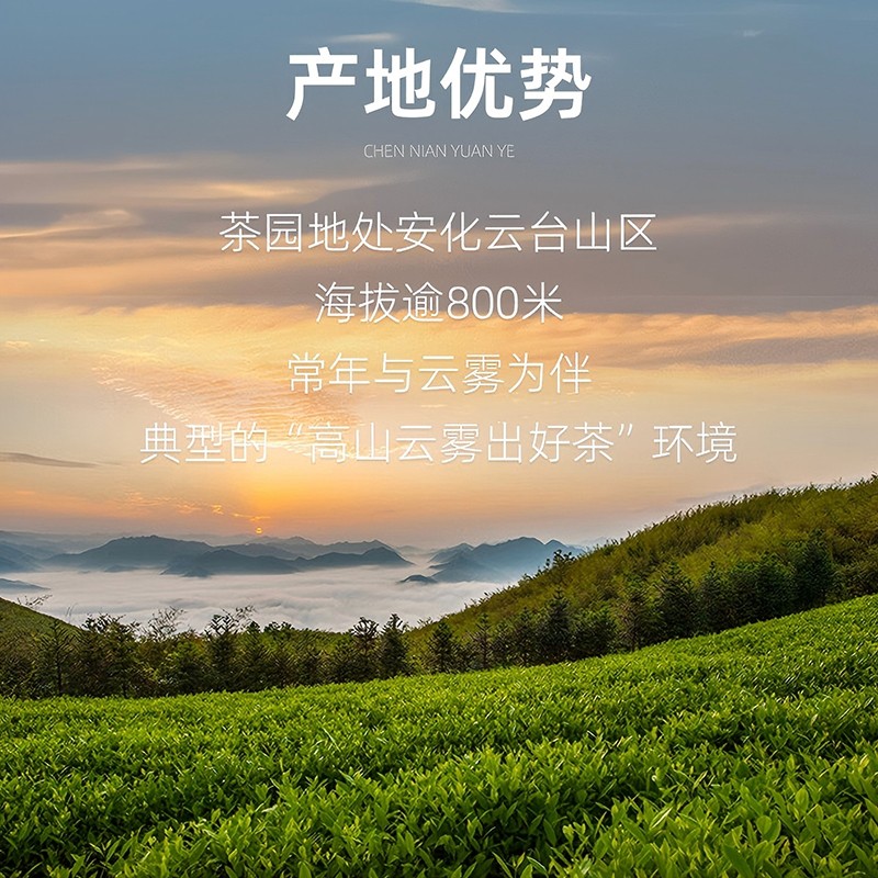 2025年陳年256g